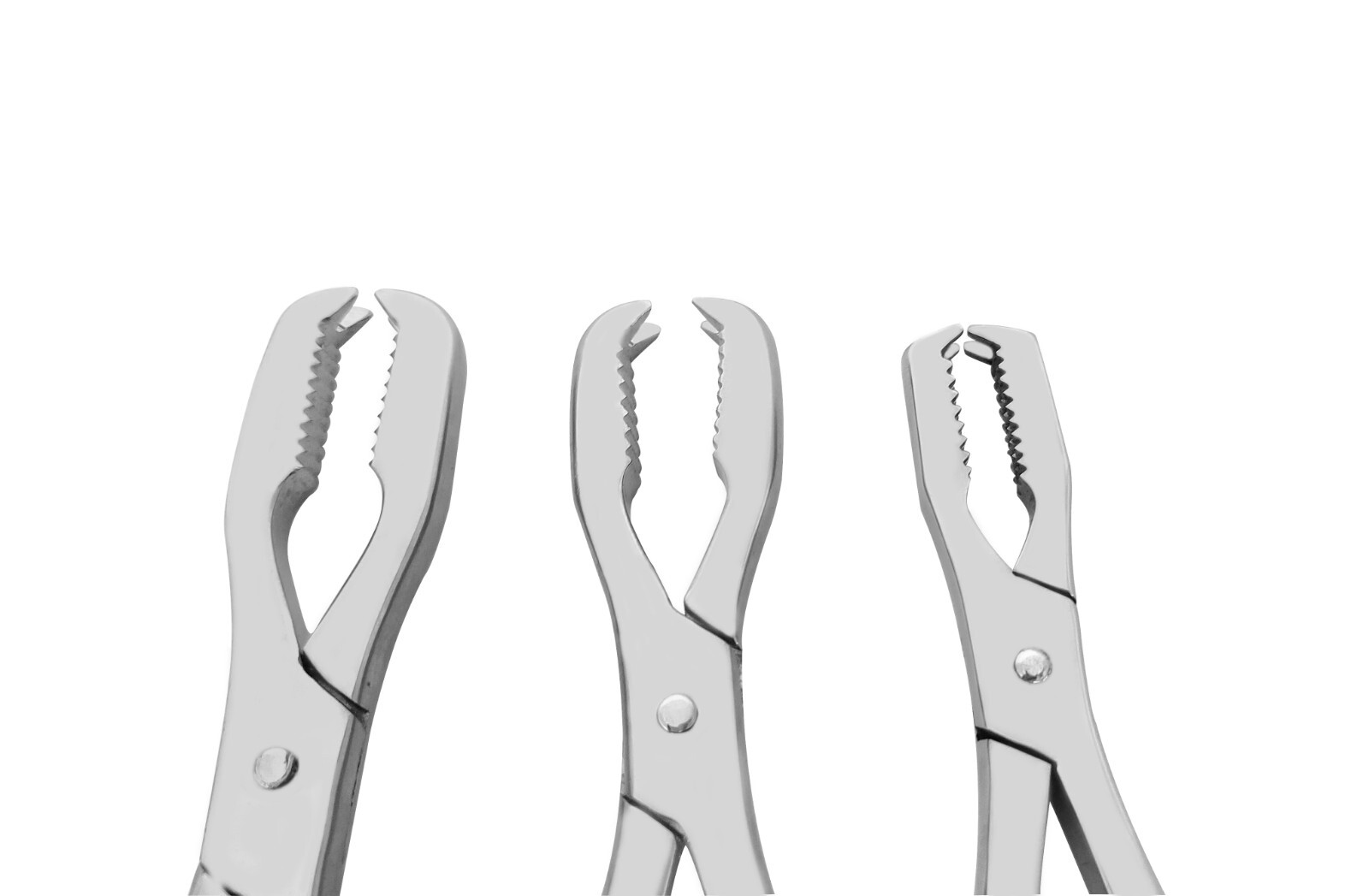 Lane bone holding forcep set of 3 (6″,10″&12″) veterinary surgical instrument