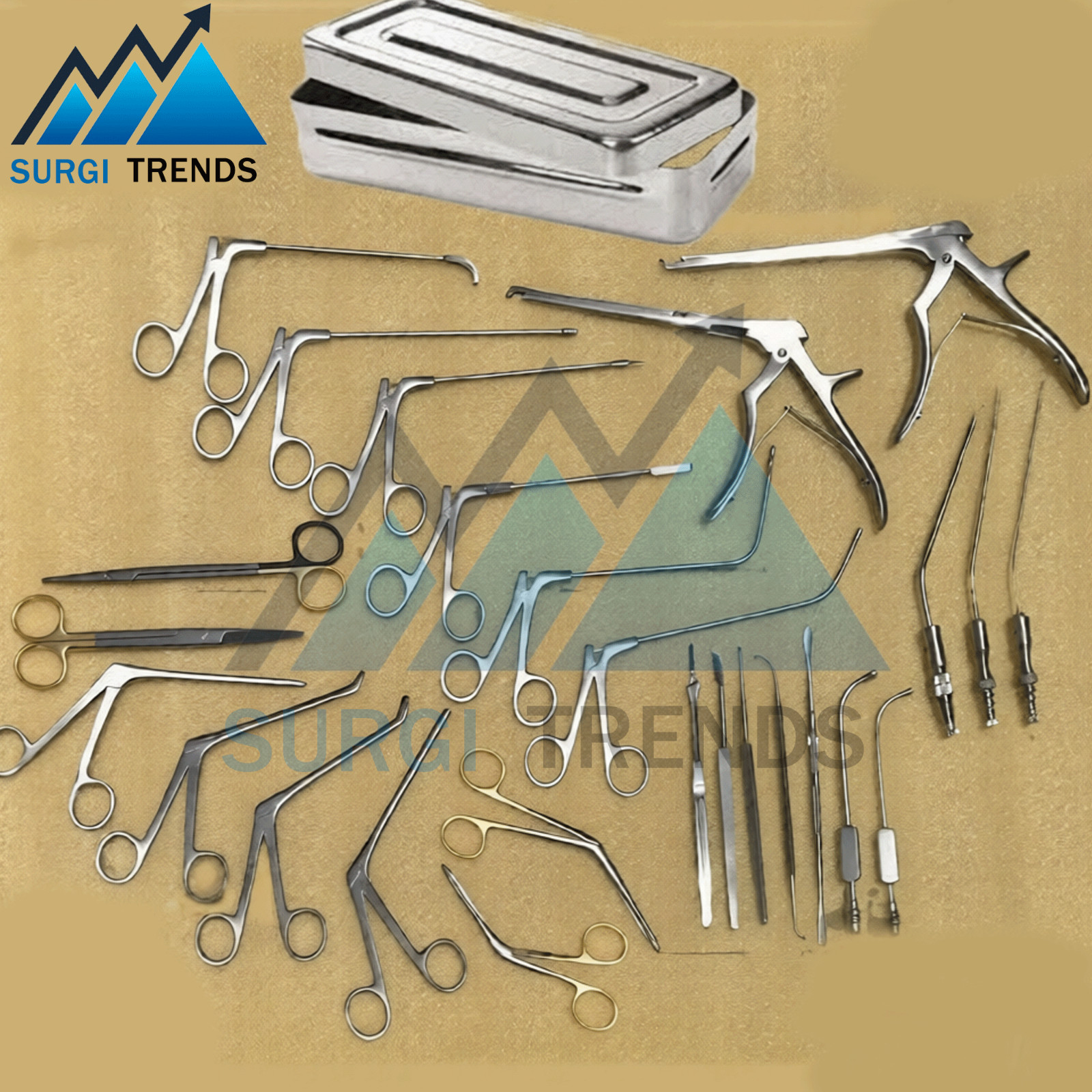 Fess Instruments Set Endoscopic Sinus Surgery ENT Instrument Set A+ German Steel