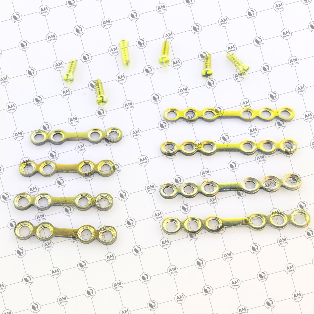 Straight Centre Space 2.0mm Mandible Plates with Crosshead Screws 39 Pcs Set Ti