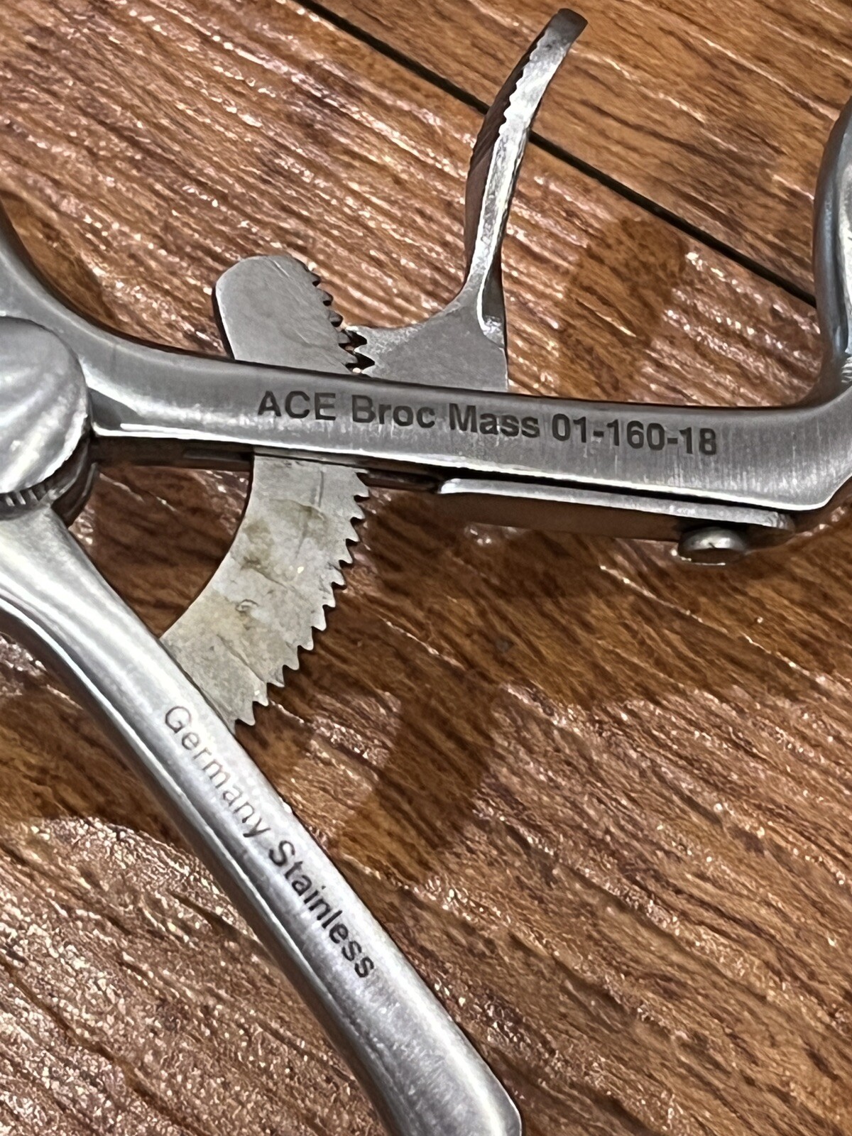 Ace Broc Mass Molt-Type Mouth Gag (Pedo)