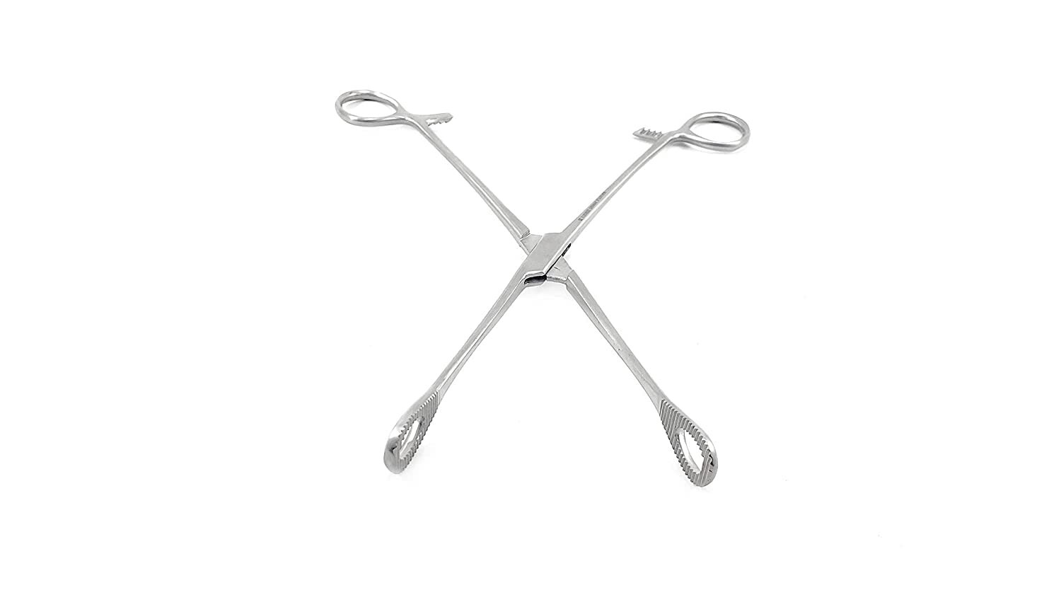 Premium Quality Sponge Holder 8 Inch (Pack of 1) Surgical Instrument