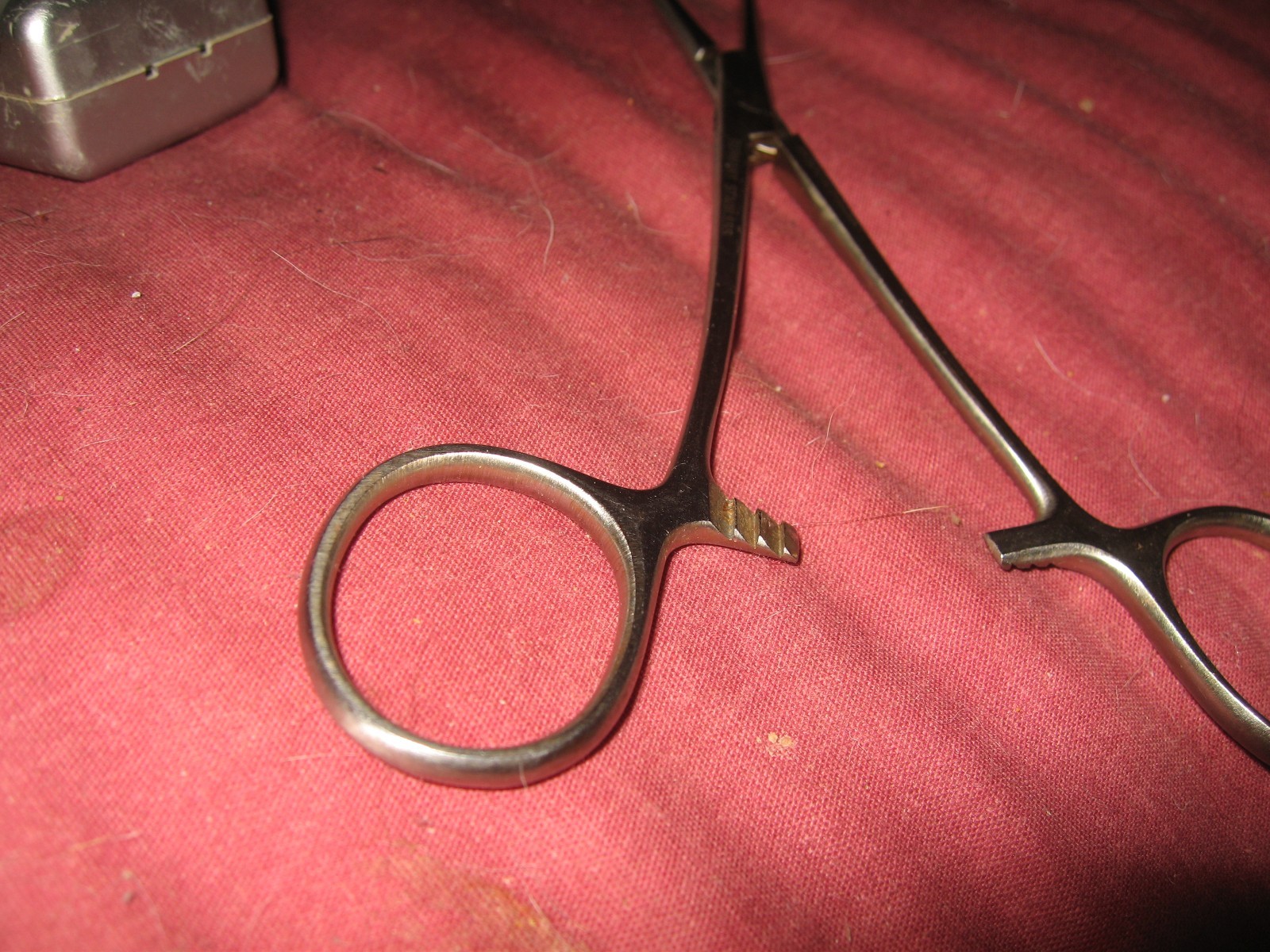 Alice Tissue Forceps From Vet Office (16 Avail) Good Condition $ 8 per forcep