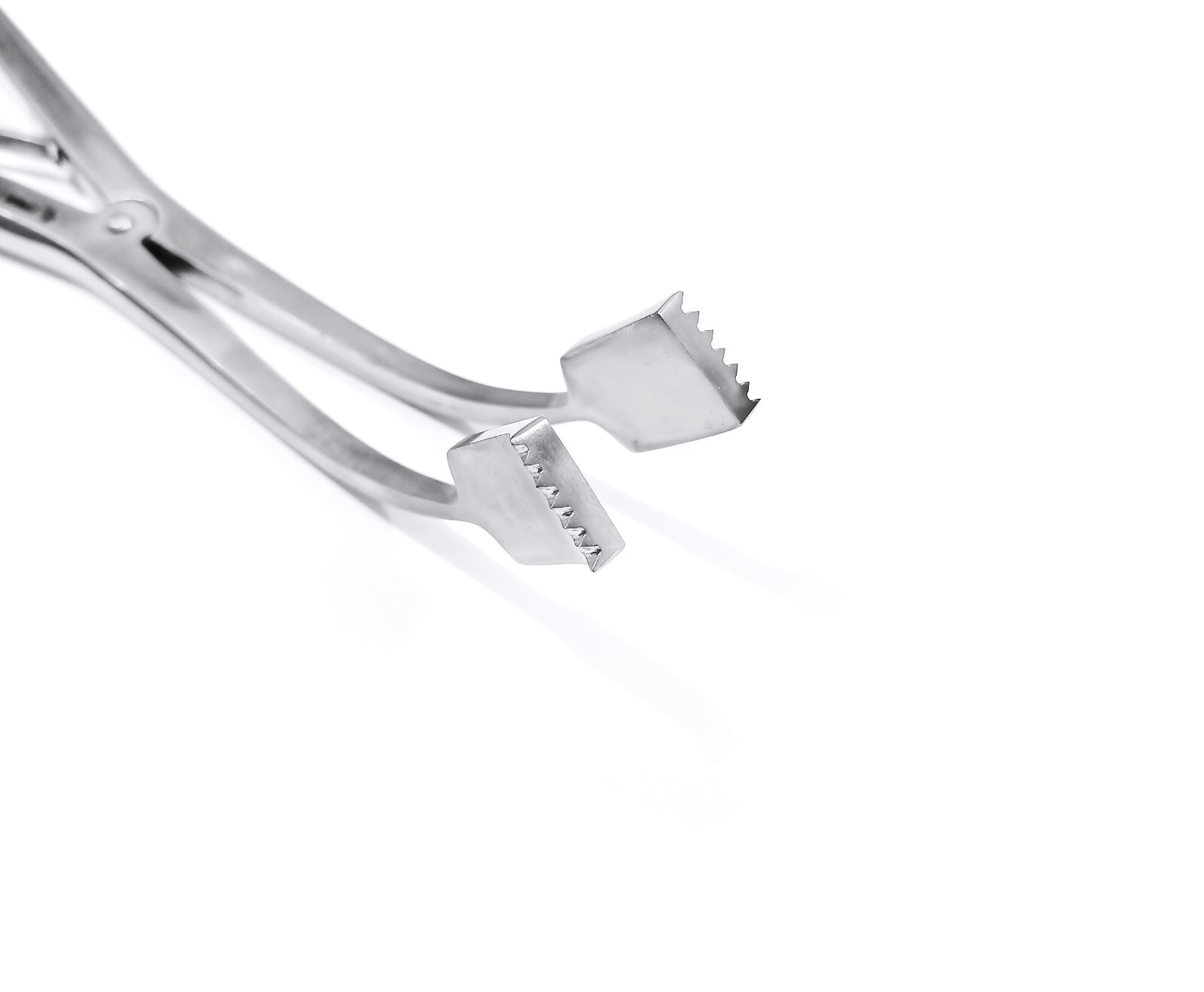 Lamina Spreader 6 inches veterinary surgical instrument