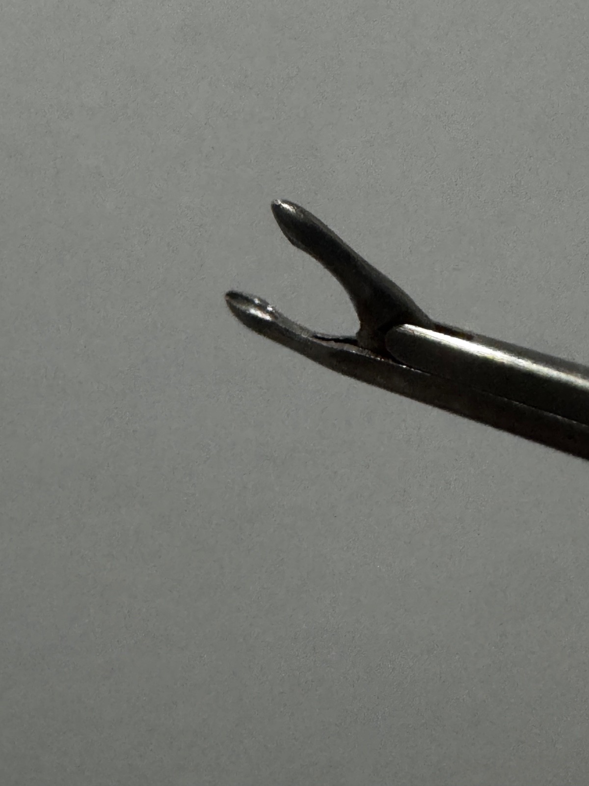V. Mueller Wullstein ENT Oval Cop Forceps Model AU-14122