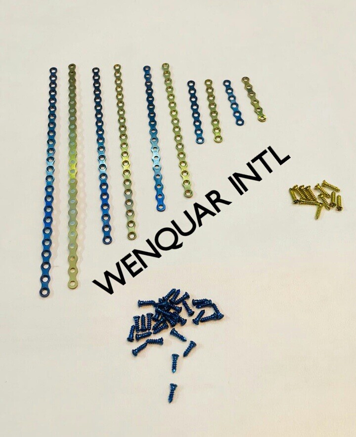 10pcs Mini Stright plate Titanium With Screw 60pcs 6,8,16,20,24holes 2.0mm