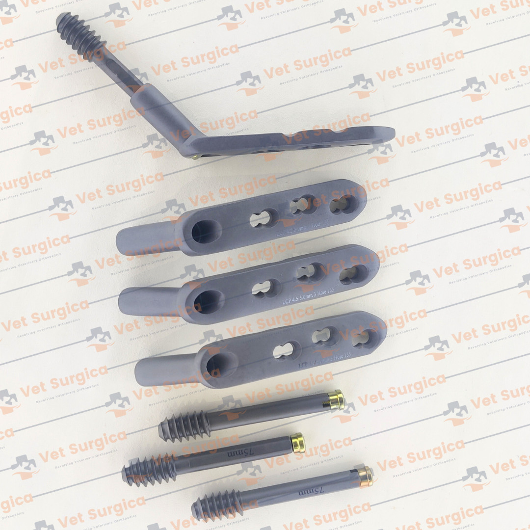 DHS 4.5/5.0mm Safety Locking Plate 3 Hole with Leg Screw 80 to 95mm 8 Pcs Set Ti
