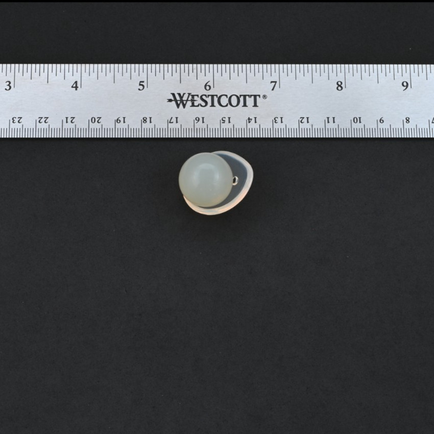 Jardon Eye Prosthetics 20 mm Veterinary Orbital Implant w/ Silicone Conformer