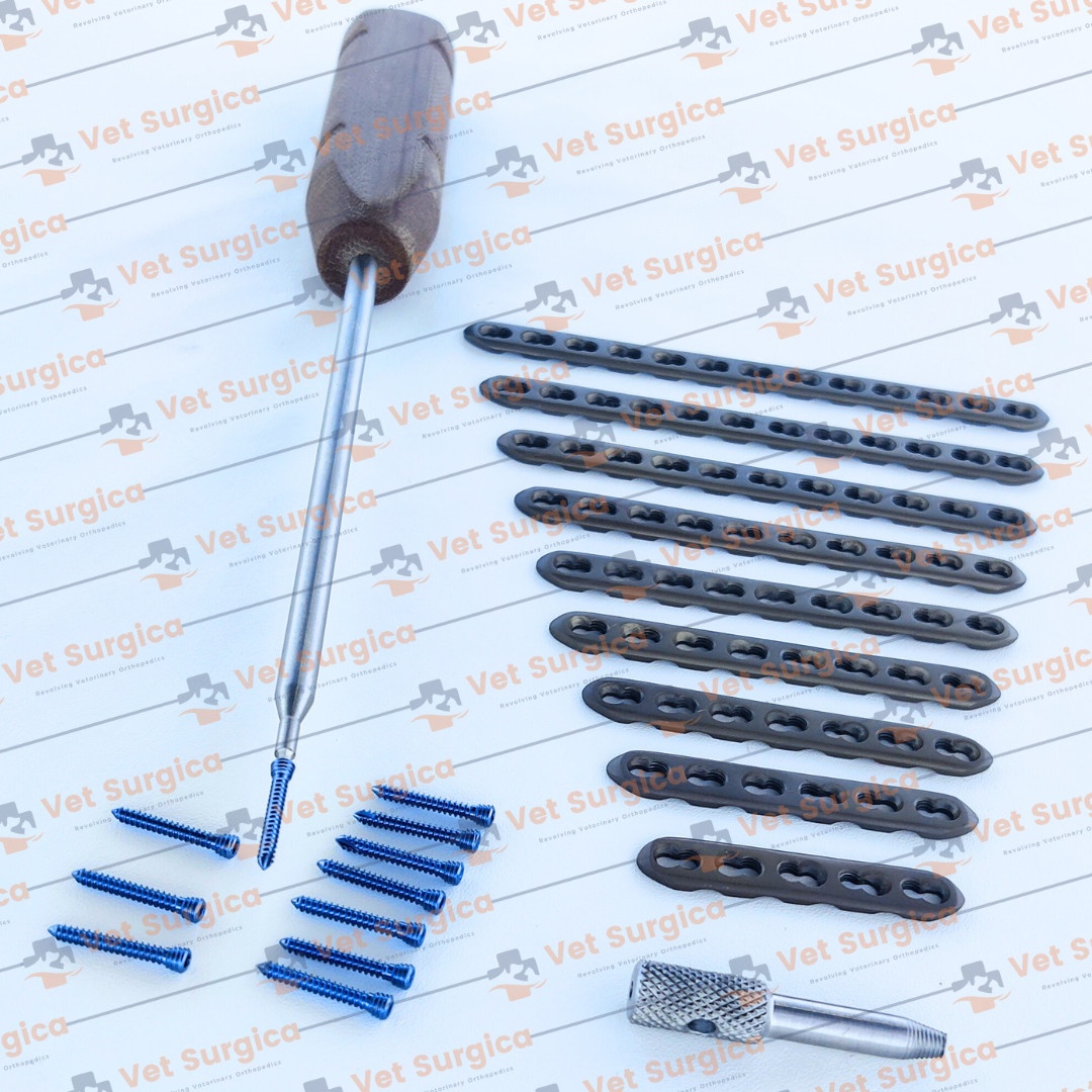 2.4mm Safety Locking Small Straight Plates 5H to 13 Holes & Screws 71 Pcs Set Ti