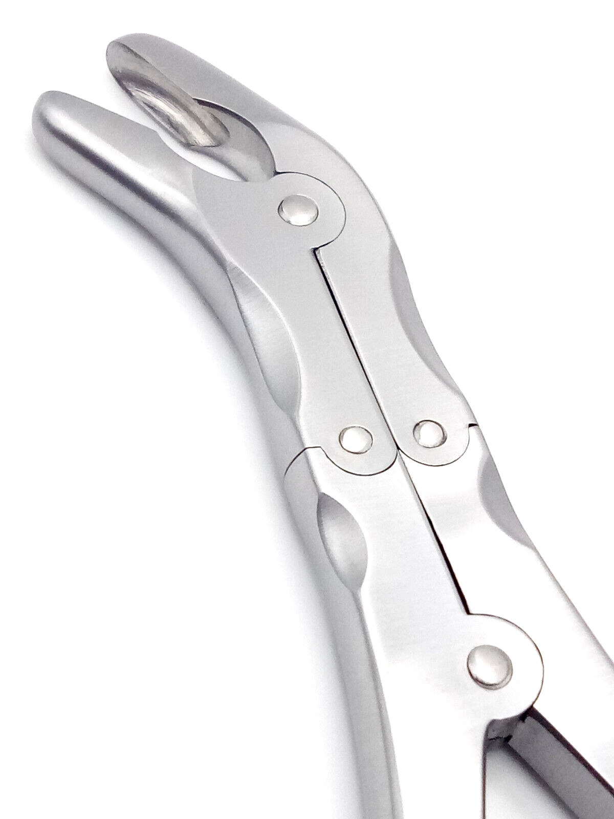 2 Echlin Duckbill Bone Rongeur 22.5cm Bite 8mm STR & CUR Orthopedic Instruments