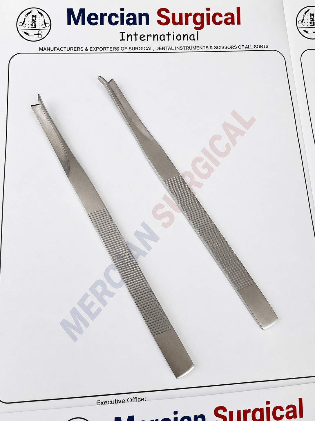 Frenchay Silver Chisel with Guard Left & Right 18cm Stainless Steel 2PCS Set