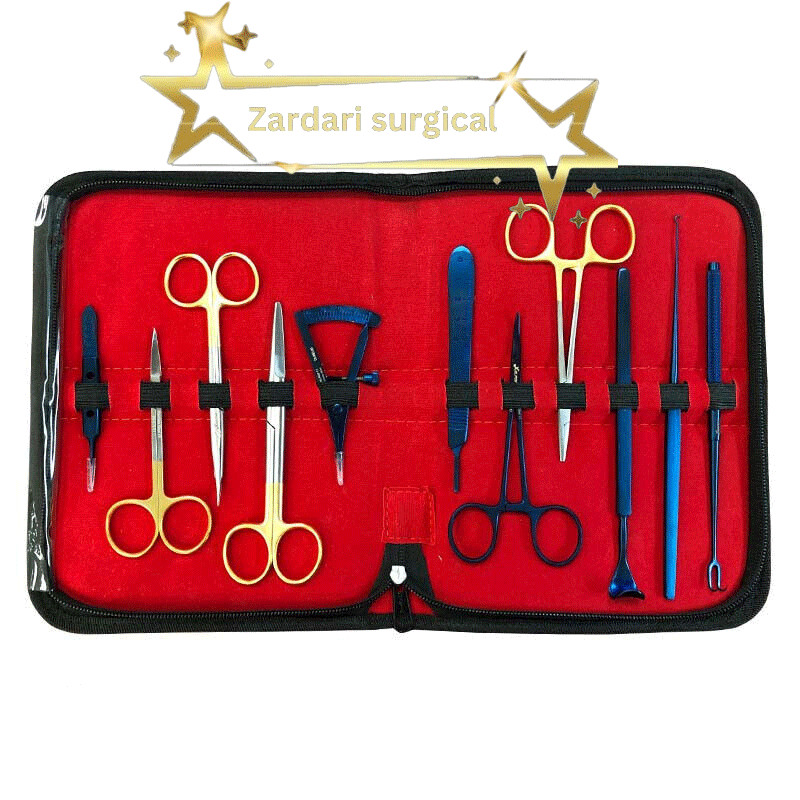 Set of 11 PCs CE Blepharoplasty Plastic Surgery High Quality Instruments Kit