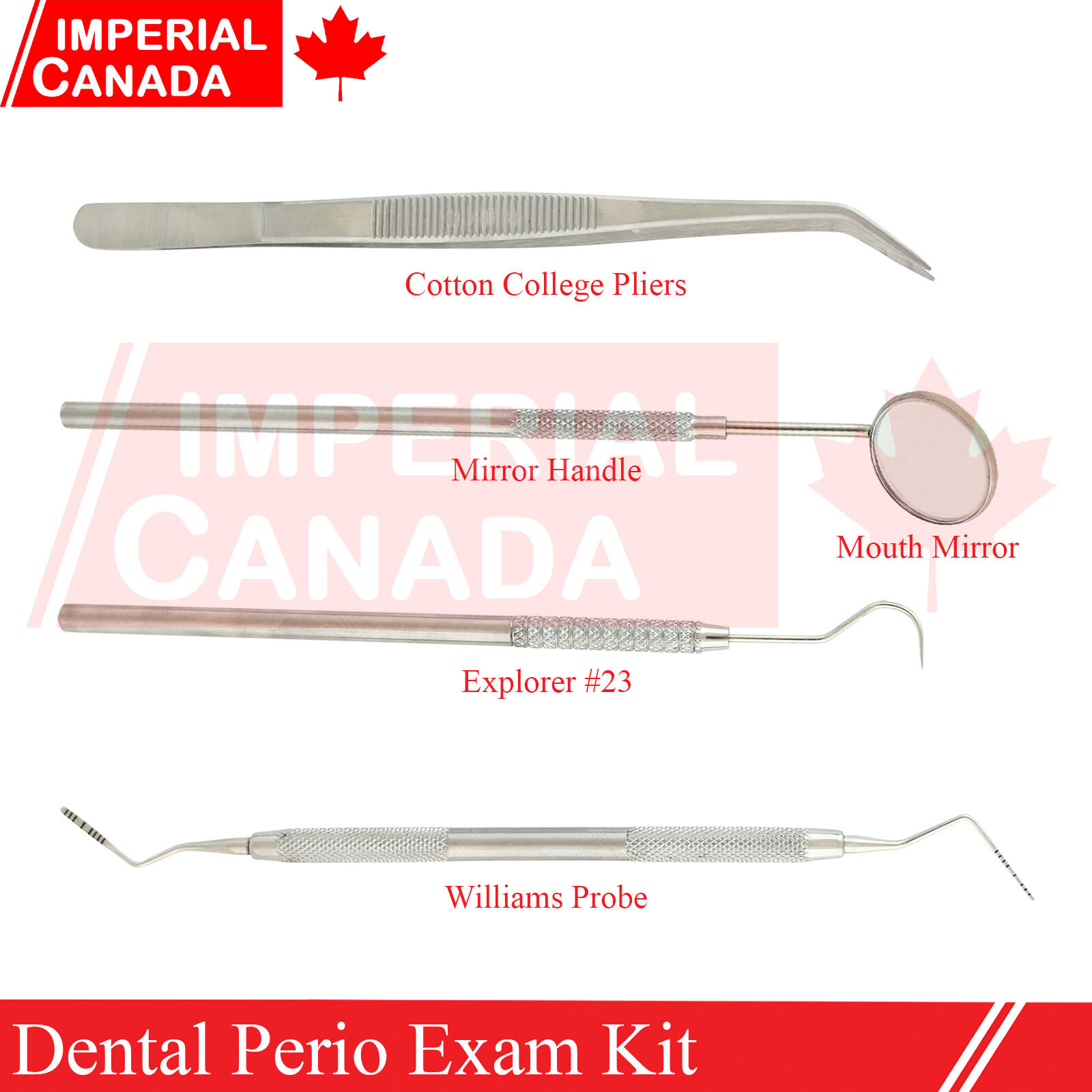 5 Pcs Diagnostic Perio Exam Set Dental Instruments Explorer+Probe+Dental DS-1966
