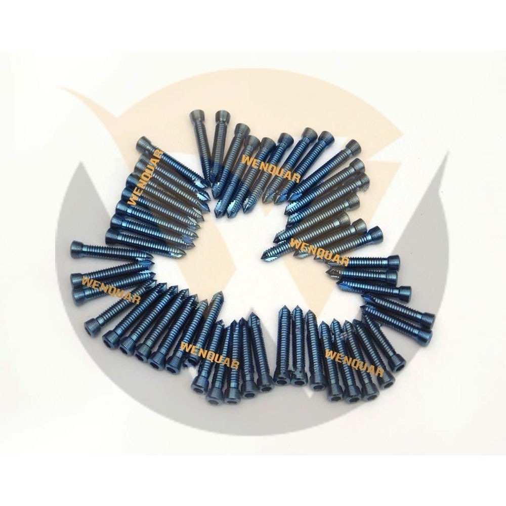 Locking (safety Lock) Titanium Blue 2.7mm Hex Screws Self Tapping 200 Pcs