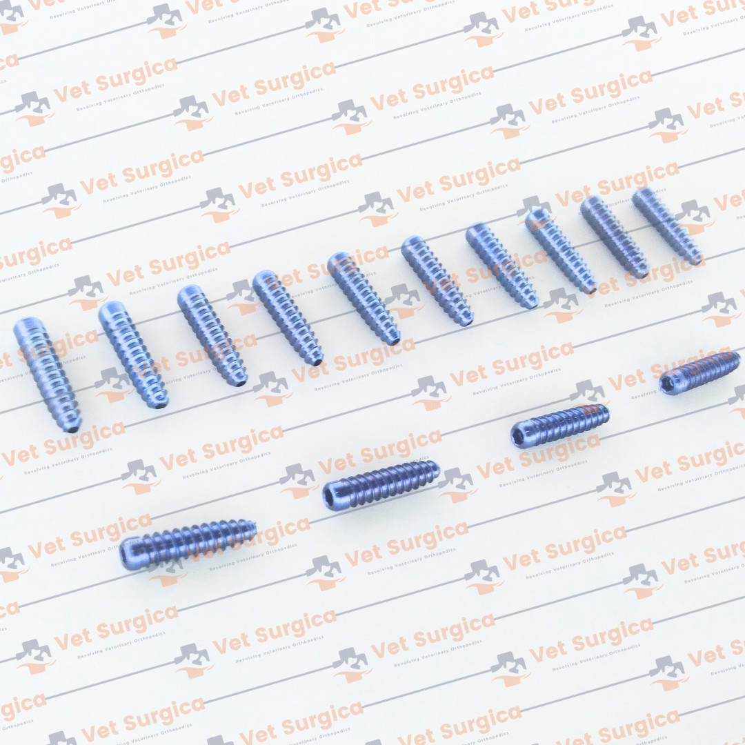 ACL (Interference) Screw Dia: 8mm Length 25 & 30mm with Screwdriver 21Pcs Set Ti
