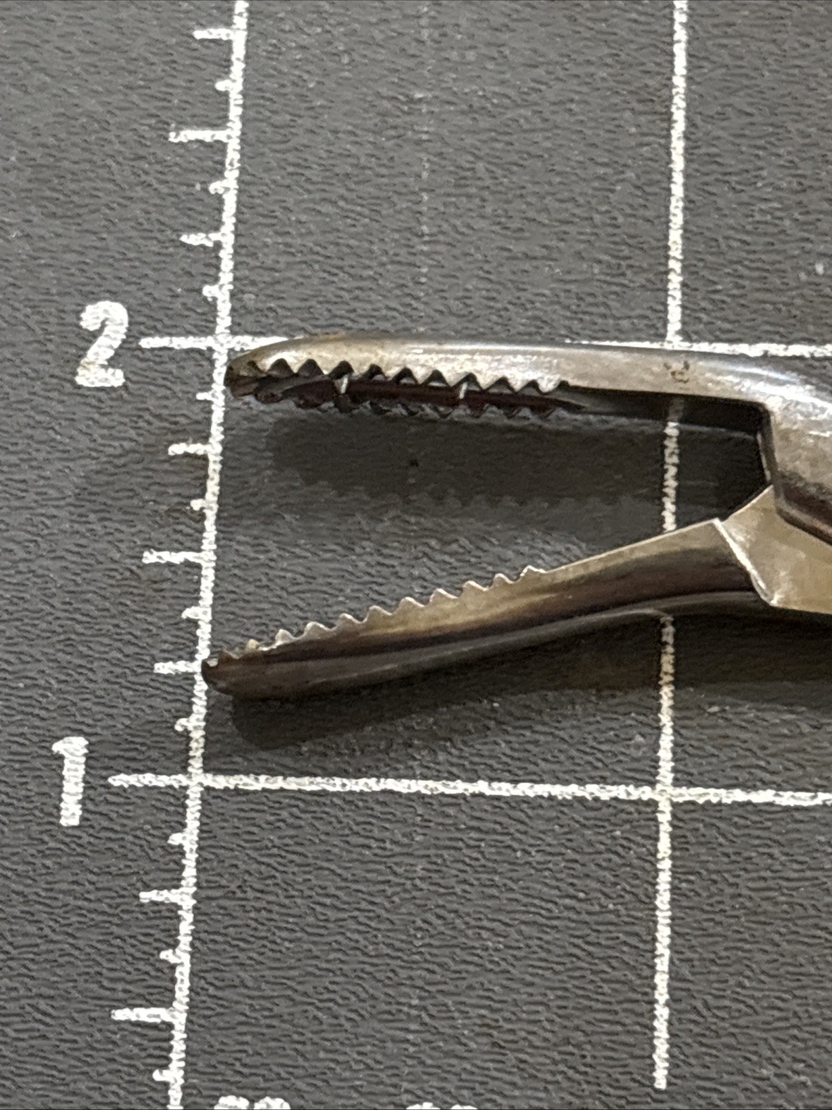 Medical Forceps 8 Inches Long Angled Tip