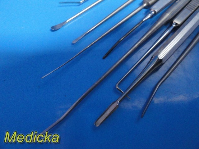 9X B&L Storz W. Lorenz (Eye, ENT, Plastic) Micro Surgery Instruments ~ 33408