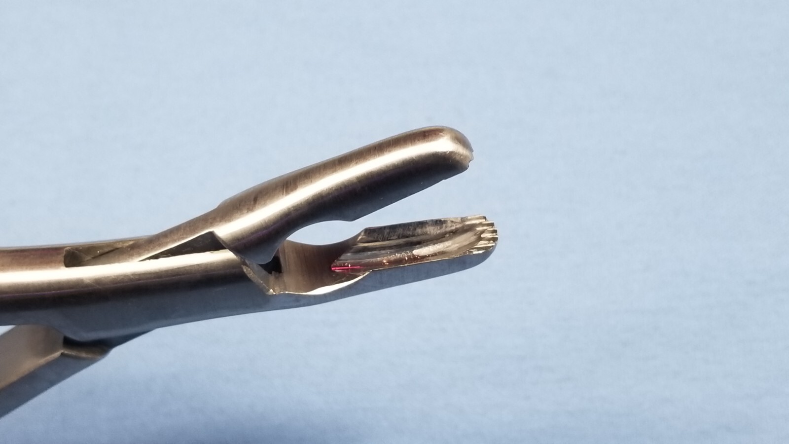 German Stainless Steel Adson Rat Tooth Rongeur 377608