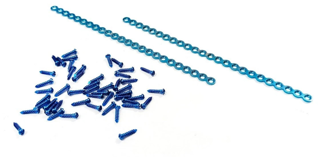 Maxillofacial 2.0mm 24H Plate (2pcs) with 50 Screws Orthopedic Instruments