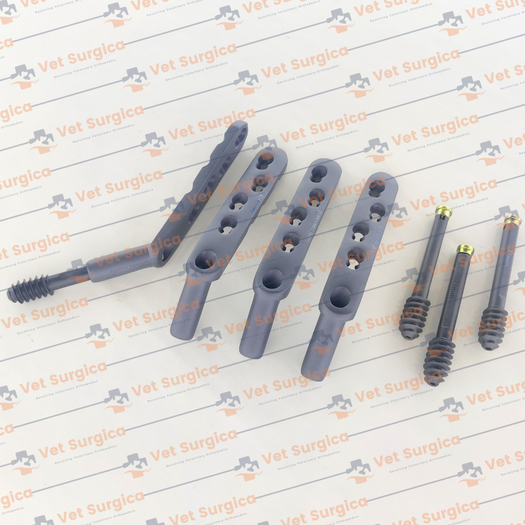 DHS 4.5/5.0mm Safety Locking Plate 4 Hole and Leg Screw 85 to 100mm 8 Pcs Set Ti