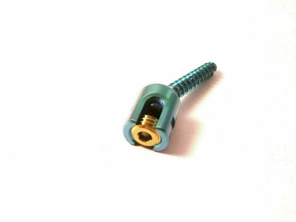 Titanium Veterinary Spine Screws Surgery Polyaxial Spinal Instrument (5PCS)