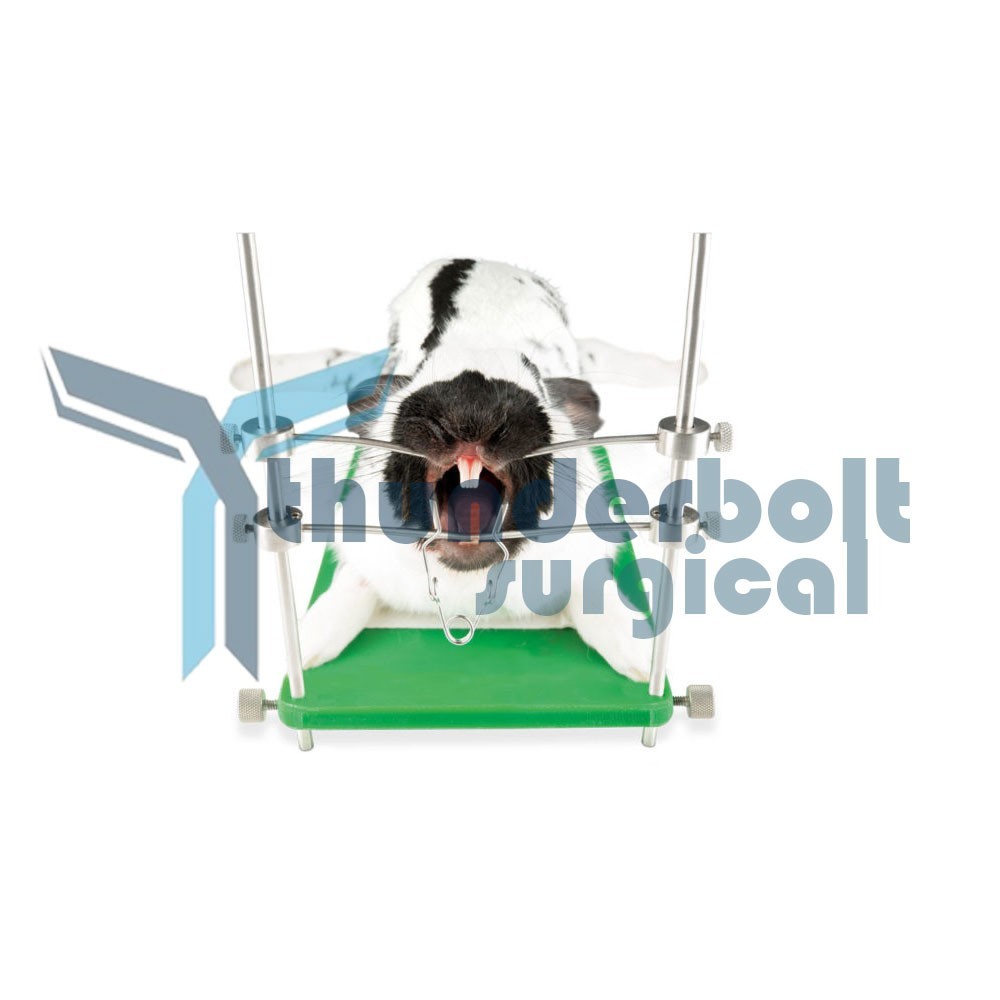 Small Animal Table Top Mouth Gag Rabbit Rodent Veterinary Instruments Set