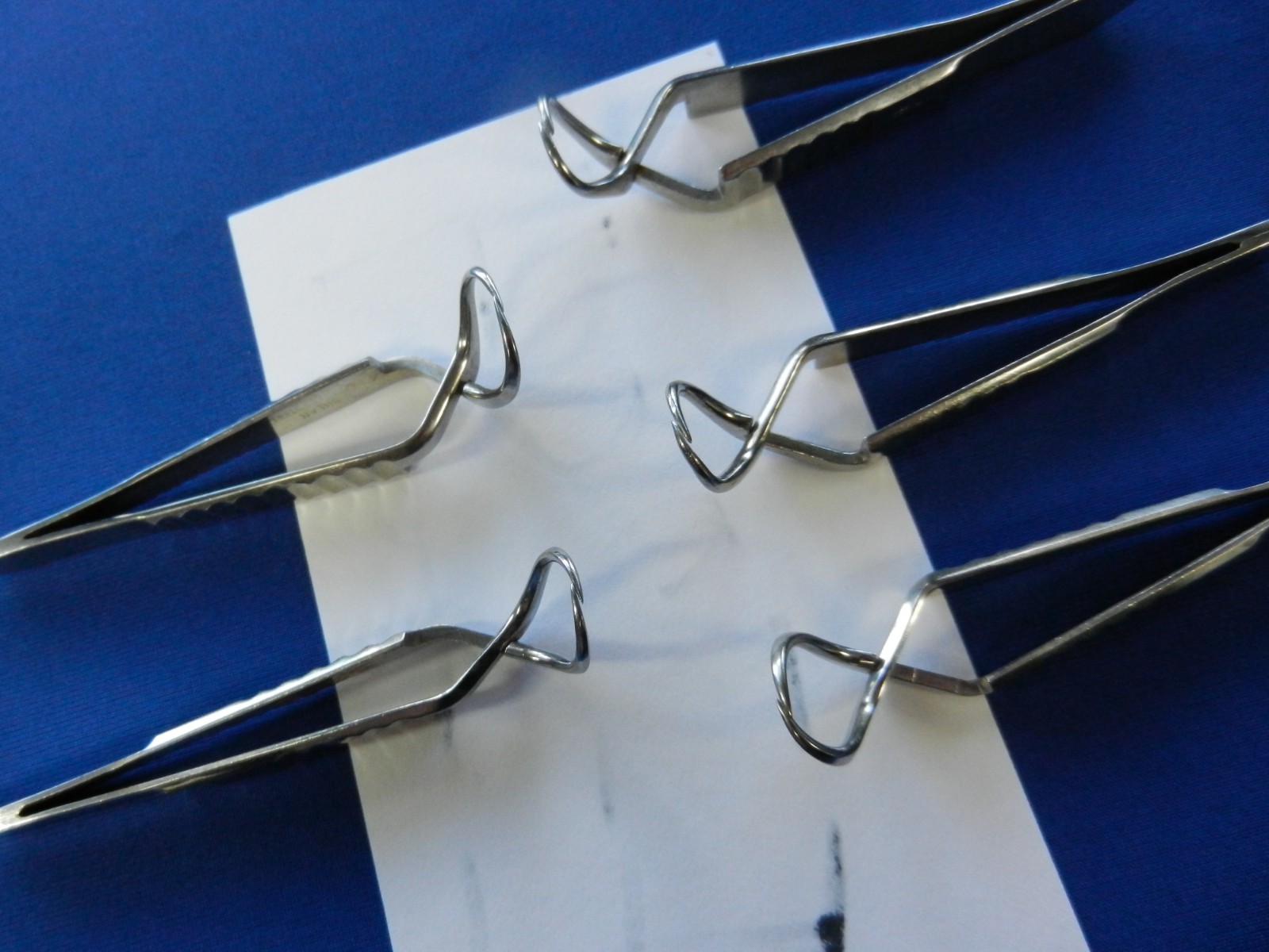 E7284 Lawton Sklar Miltex Lot of 5 Jones Towel Forceps