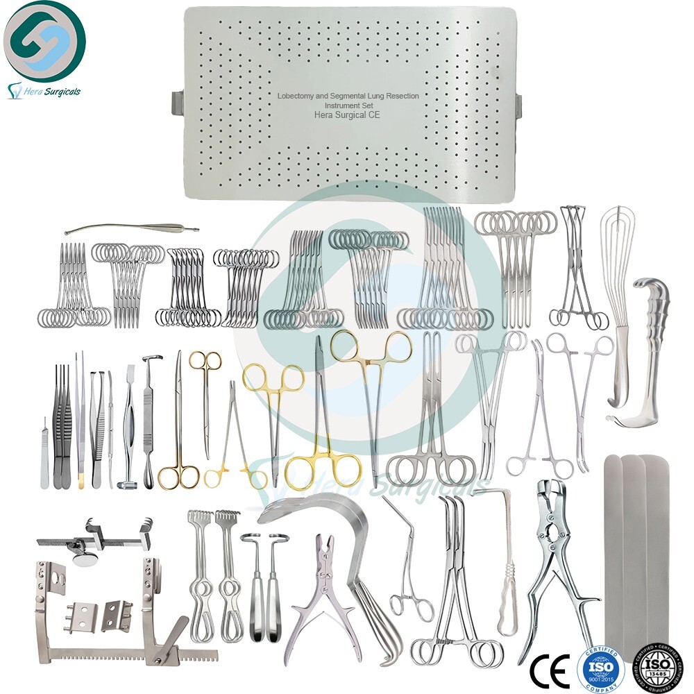 Lobectomy and Segmental Lung Resection Instrument Set Lung Surgery Set With Box