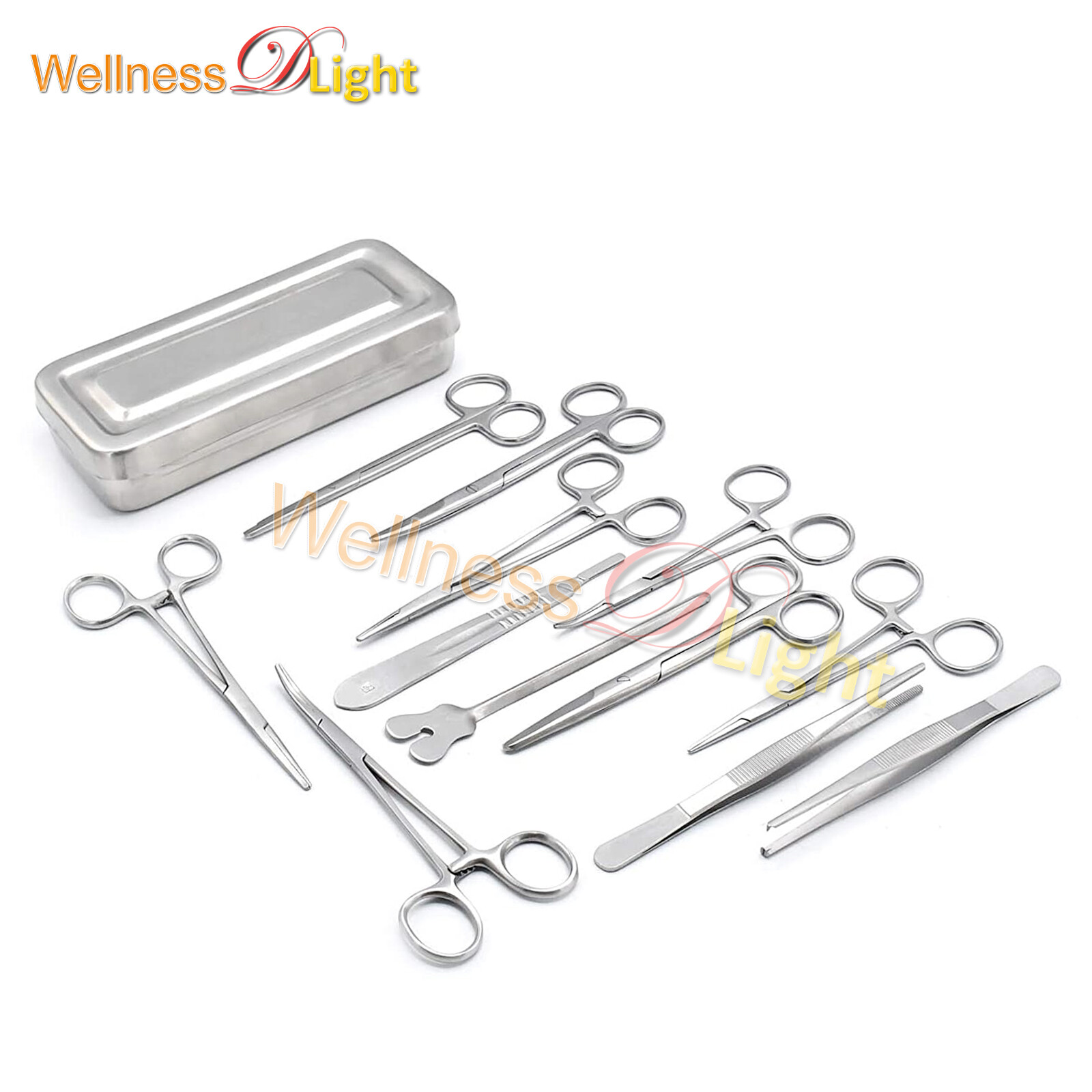 Set of 13 Pieces Basic Minor Surgery Kit Steel Box Surgical Instruments DS-1290