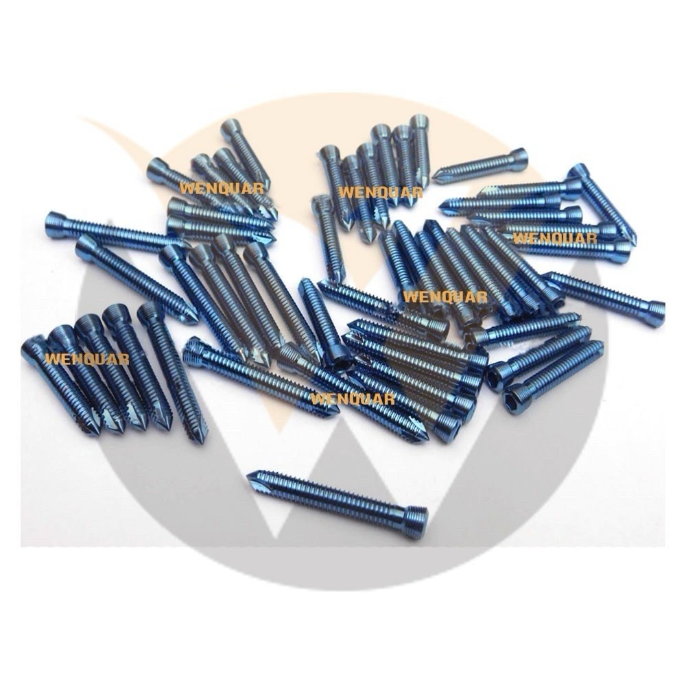 Locking (safety Lock) Titanium Blue 2.7mm Hex Screws Self Tapping 200 Pcs