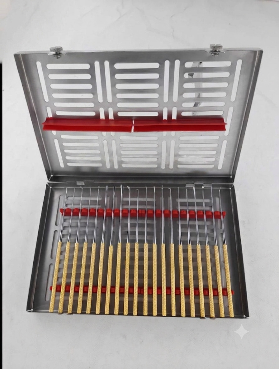 Rhoton Micro Dissector Set 20 Pcs Gold Neurosurgery Surgical Instruments Case