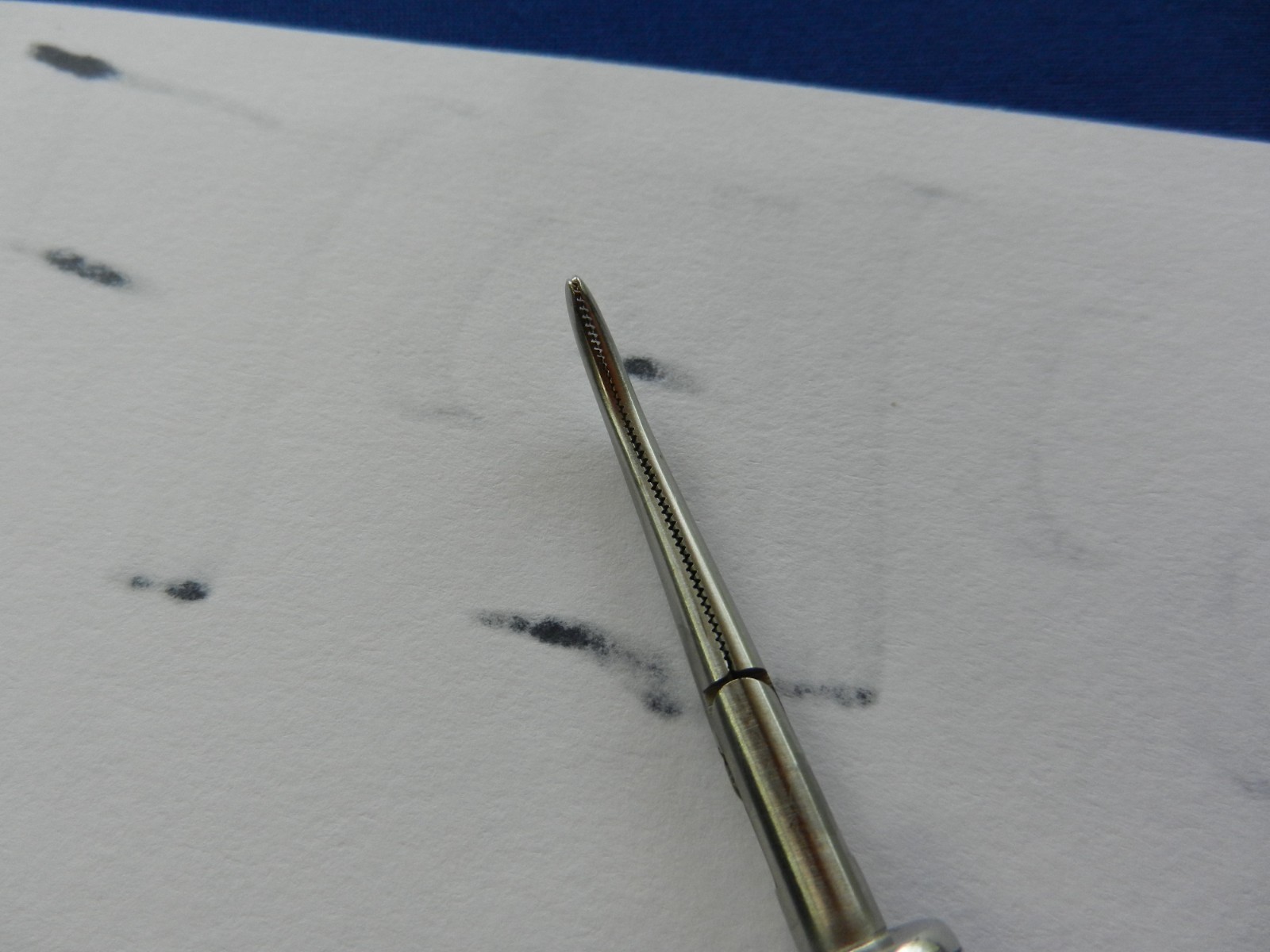 E6769 Jarit 600-127 Mixter Forceps