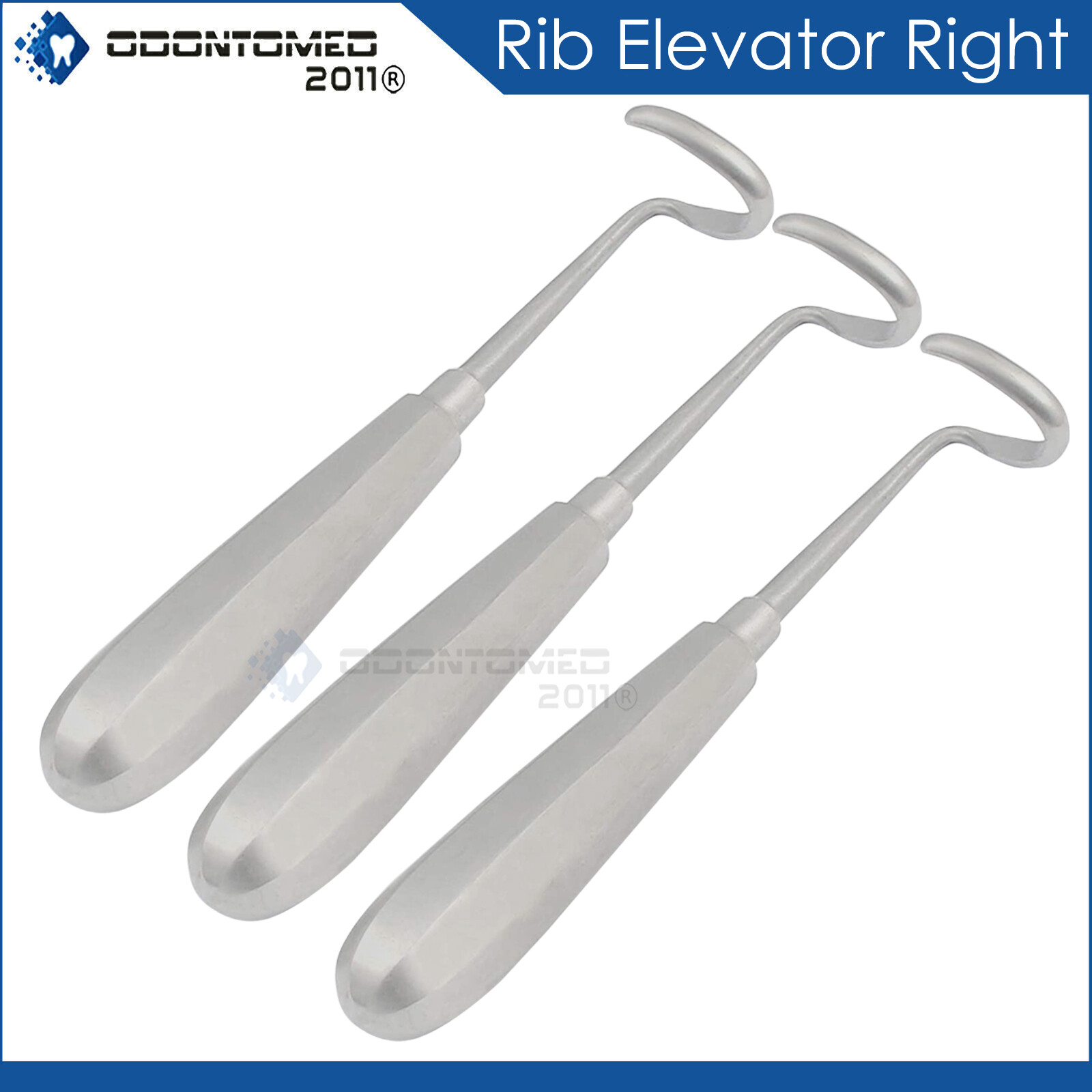 3 Pcs Surgical Elevators Doyen Rib Right 7″ Curved Blade 3.2cm Instruments