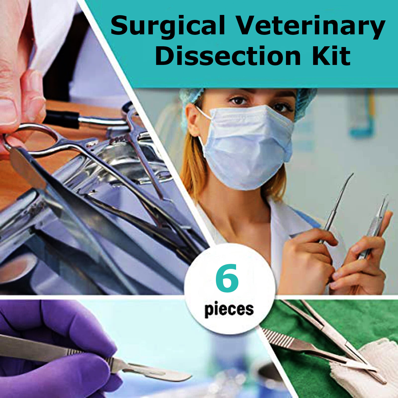 Minor Surgery Kit Surgical Dissection Tools Veterinary Dissecting Instruments