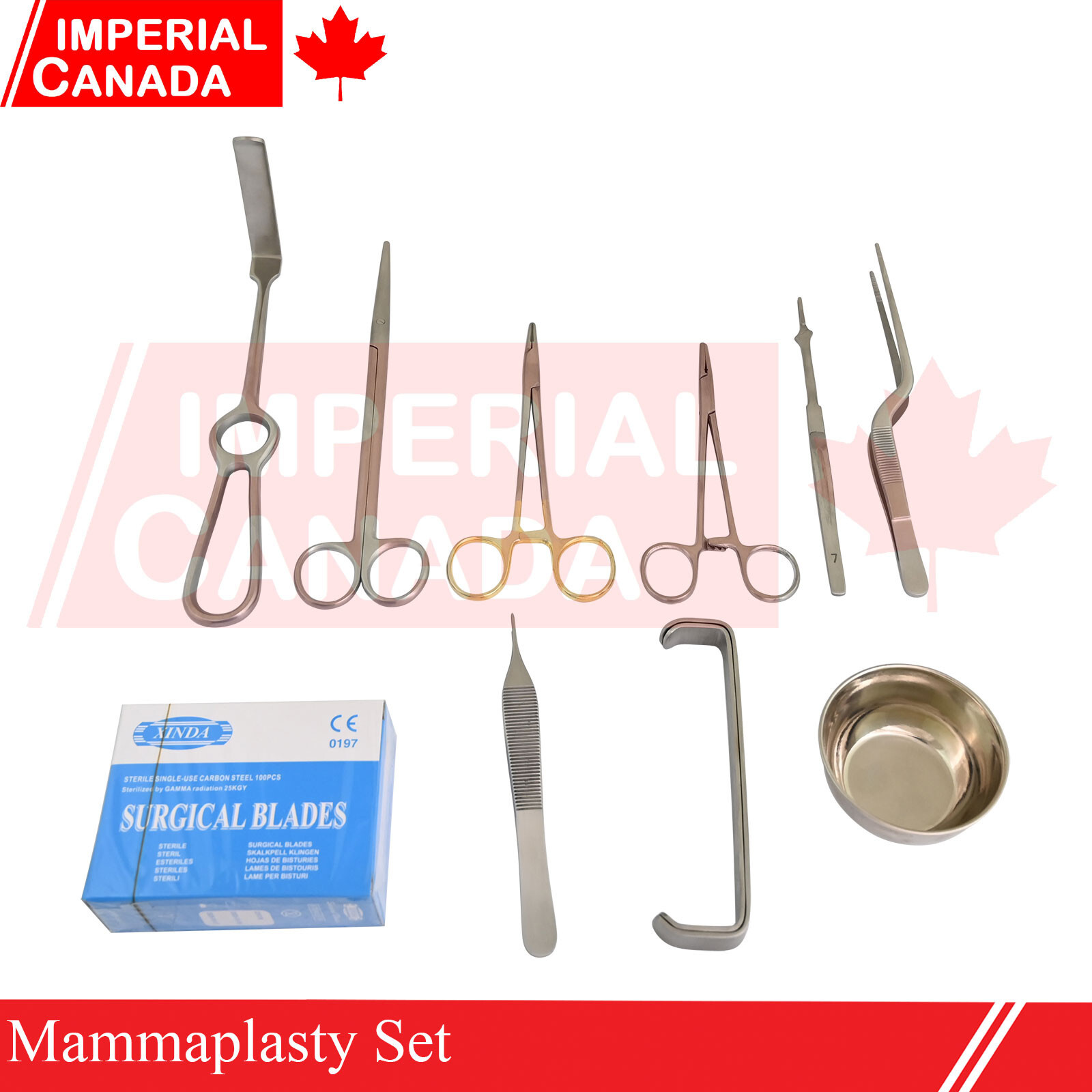 10 Pcs Mammaplasty Set High Quality Instruments DS-1724