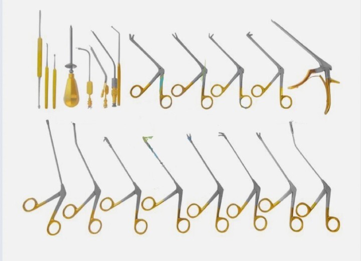 Fess Instruments Set Endoscopic Sinus Surgery ENT Instrument