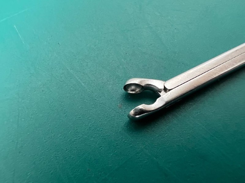 Karl Storz 221454 FISCH Ear Forceps, Round Cupped Jaws, Diameter 3 mm, WL 12.5cm