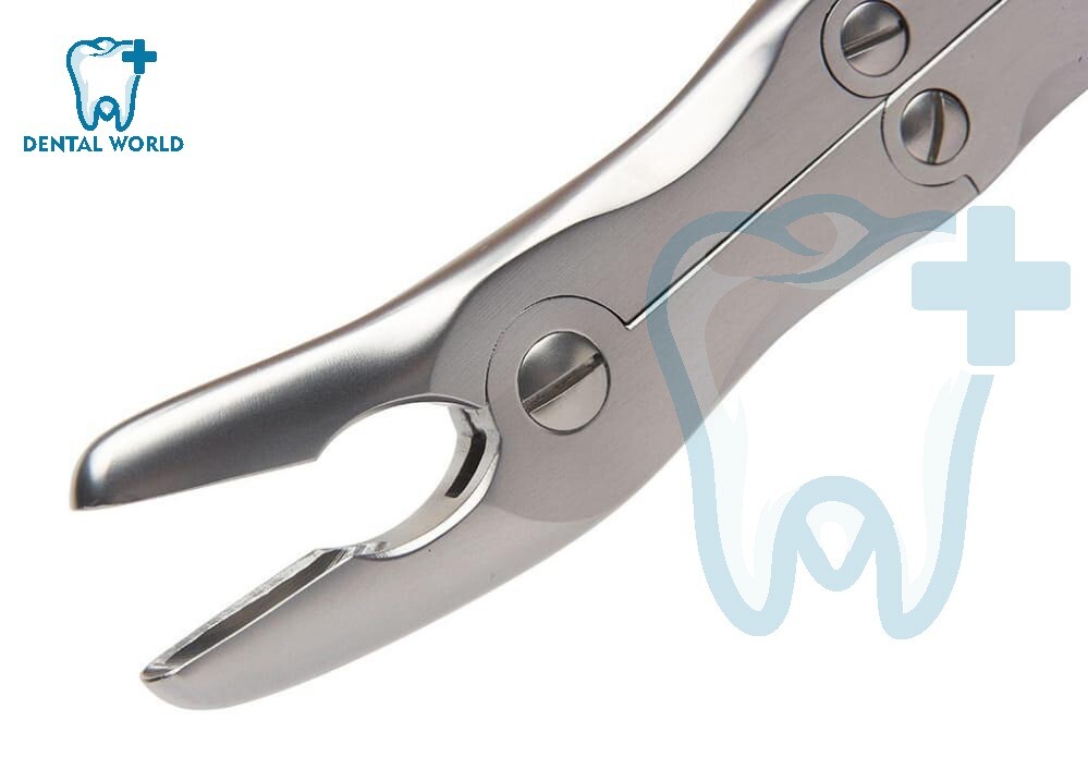 Leksell Stille BONE RONGEUR Orthopedic Instruments 23 CM ( 9 ”)