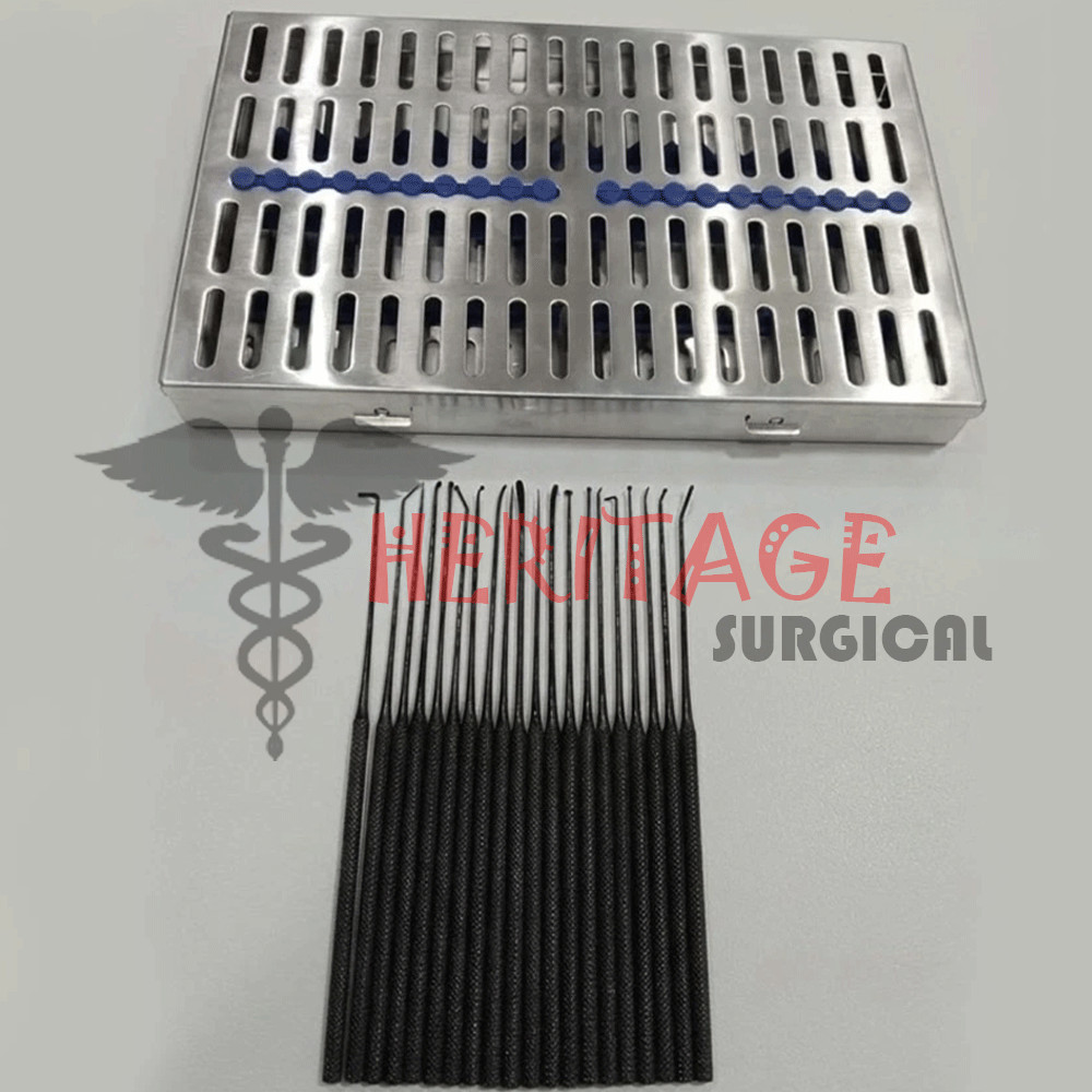 Aesculap Rhoton Micro Dissector Set 20Pcs Black Neurosurgery Instruments