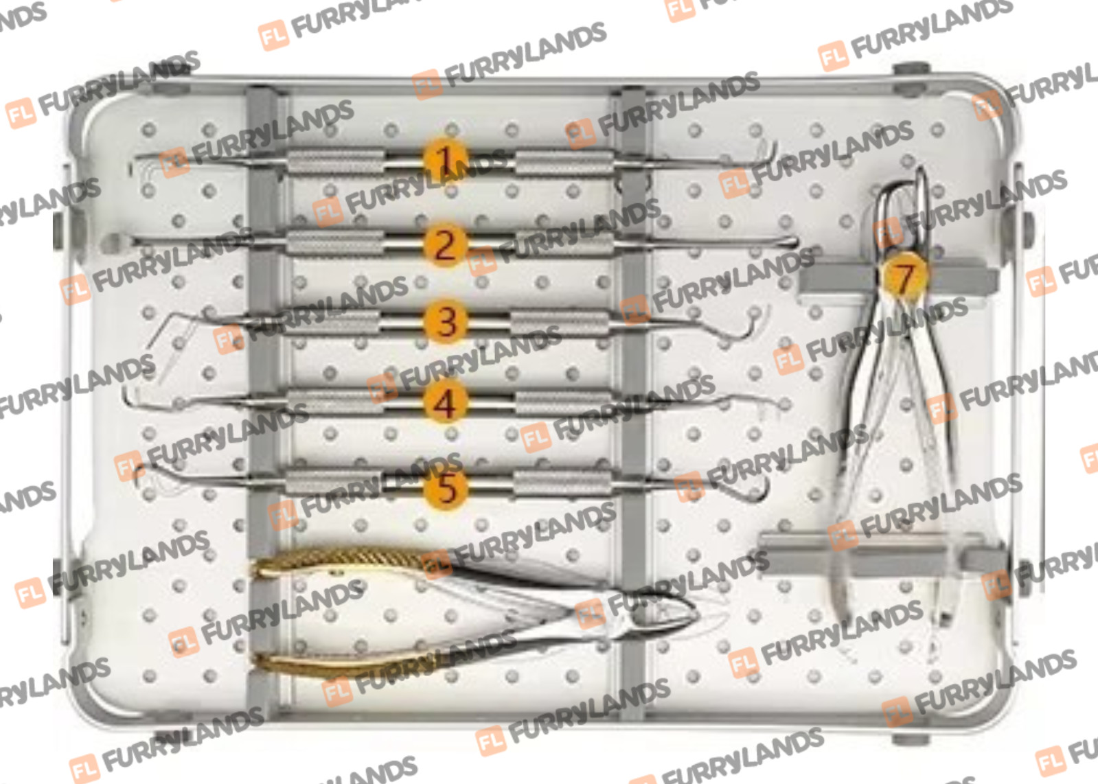 Small Animal Instrument Set Complete Oral Kit