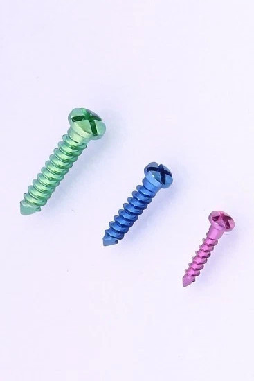 Veterinary Maxillofacial Screw 200pc cross head Tit.