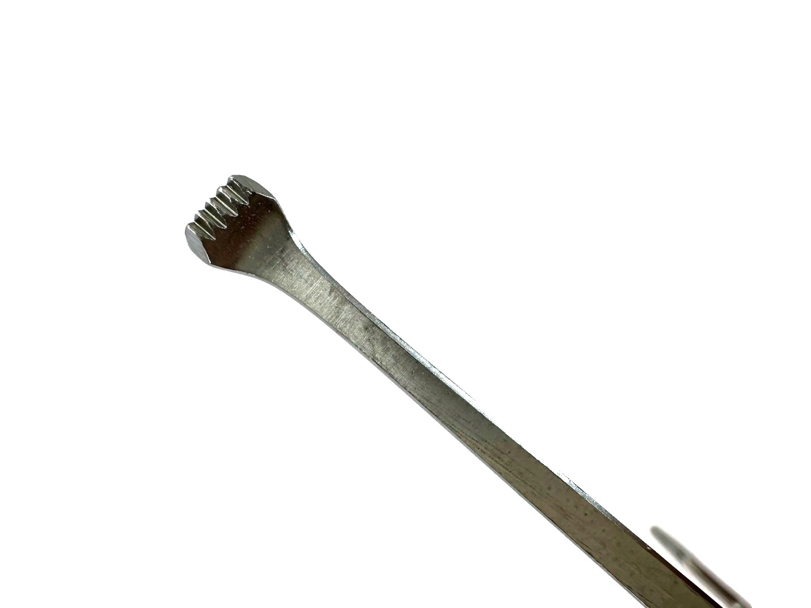 V. Mueller XMRH CH1560 ALLIS Forceps, 5 x 6 Teeth, Overall Length 10in
