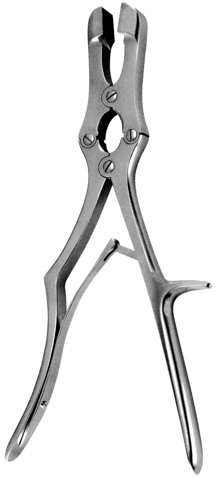 Sauerbruch Rongeur 12″ square 19mm, double action German Stainless NEW