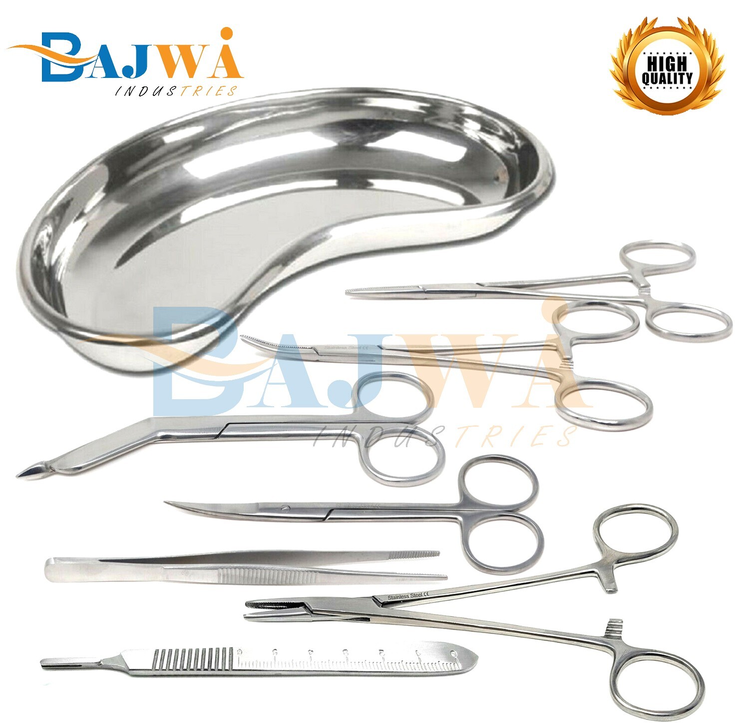 Set of 13 Pieces Basic Minor Surgery Kit Steel Kidney Tray Surgical Instruments